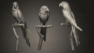 Bird figurines (STKB_0091) 3D model for CNC machine